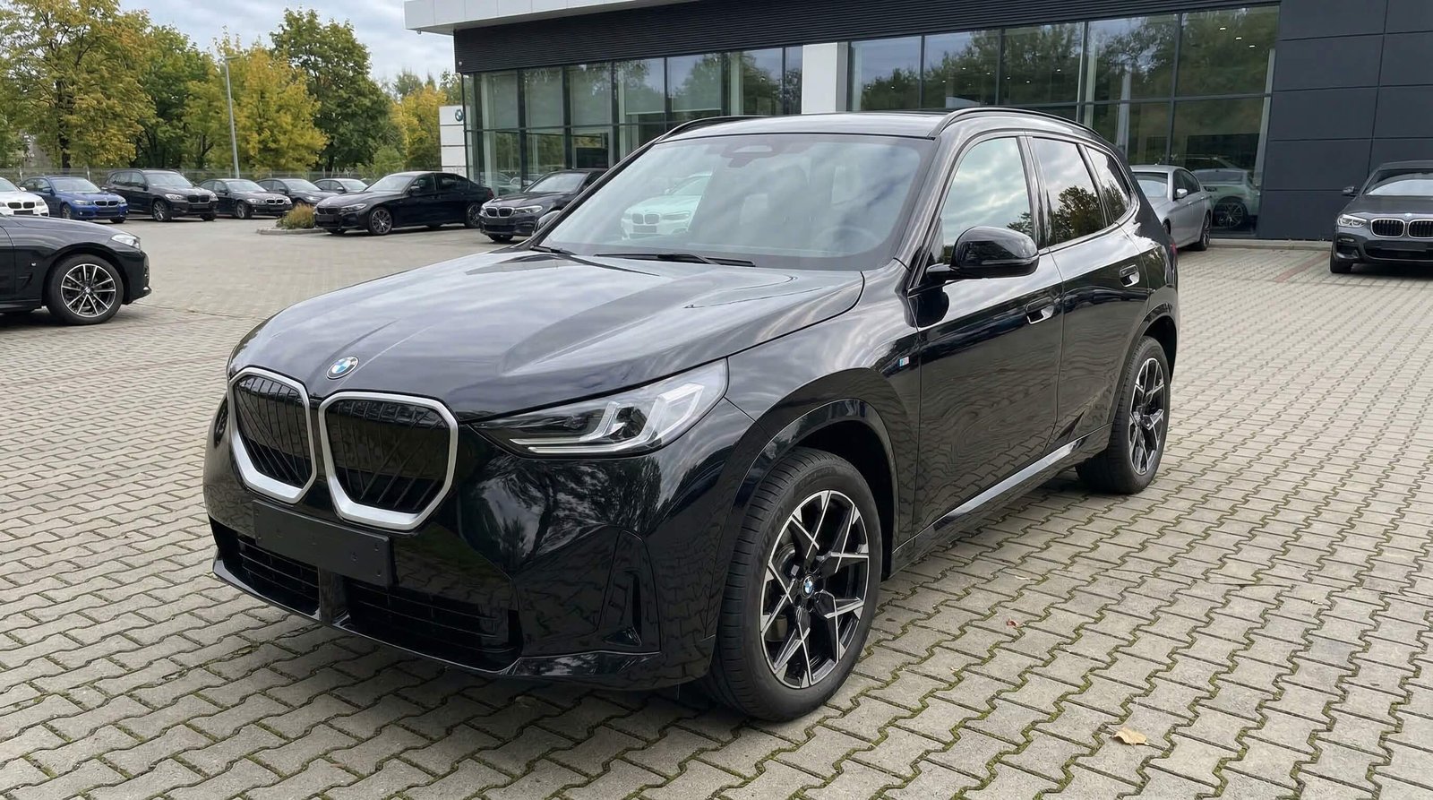 BMW X3 20 xDrive – zdjęcie 2