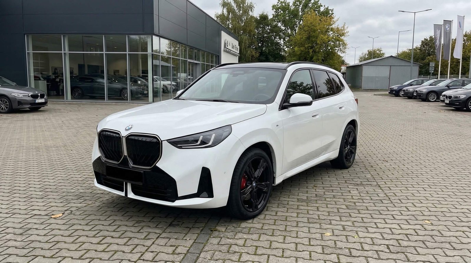 BMW X3 20 xDrive – zdjęcie 1