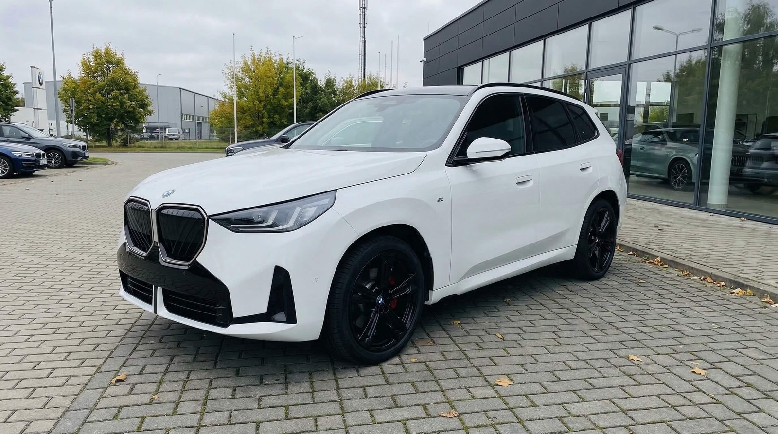 BMW X3 20 xDrive – zdjęcie 4
