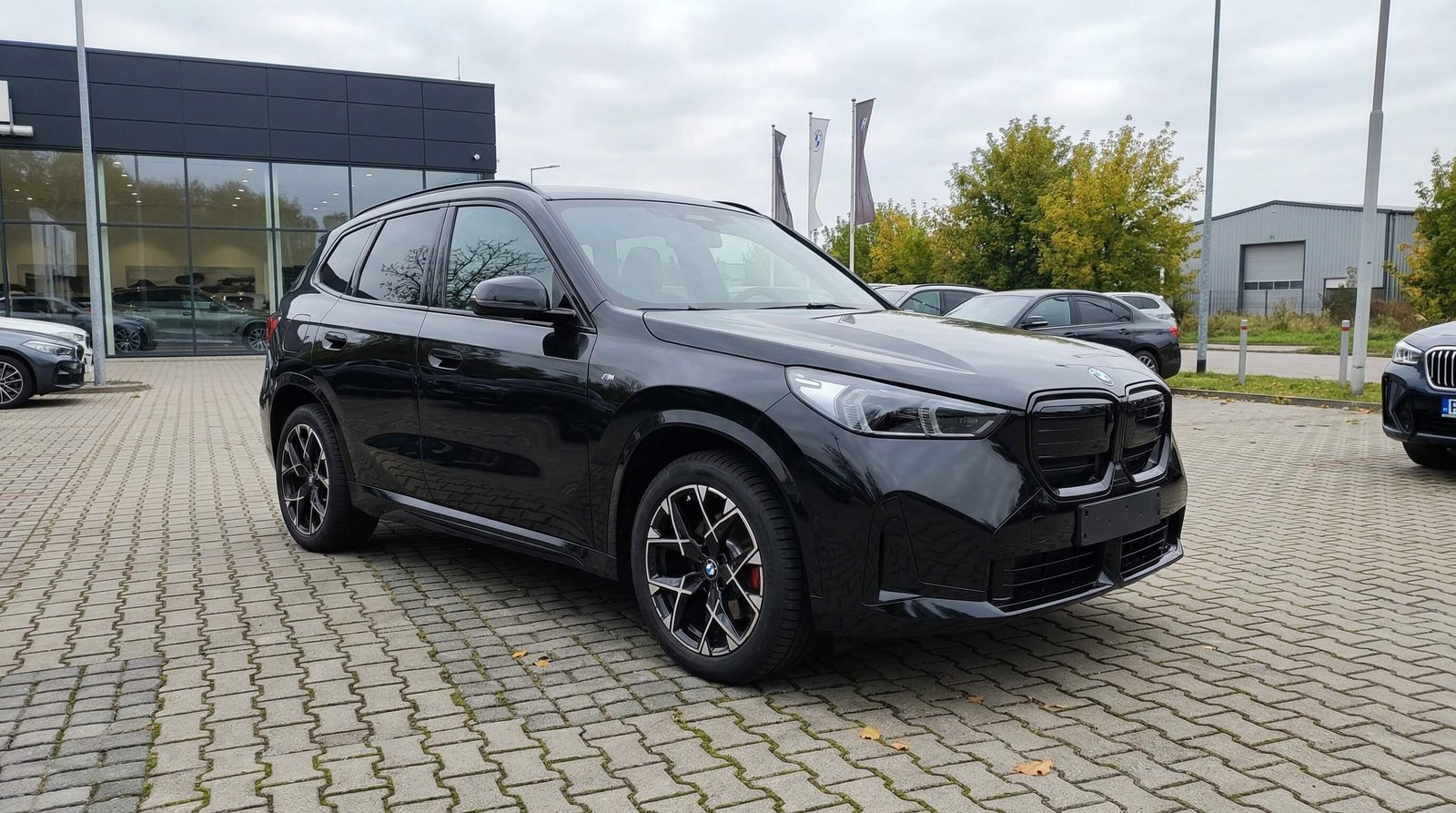 BMW X3 20 xDrive – zdjęcie 3